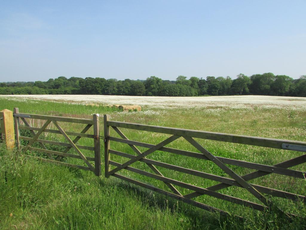 Decoy Barn Fritton Exterior foto